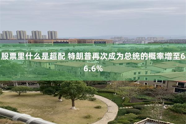股票里什么是超配 特朗普再次成为总统的概率增至66.6%