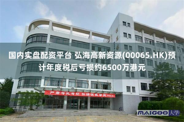 国内实盘配资平台 弘海高新资源(00065.HK)预计年度税后亏损约6500万港元