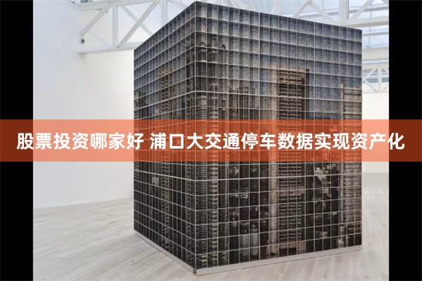 股票投资哪家好 浦口大交通停车数据实现资产化