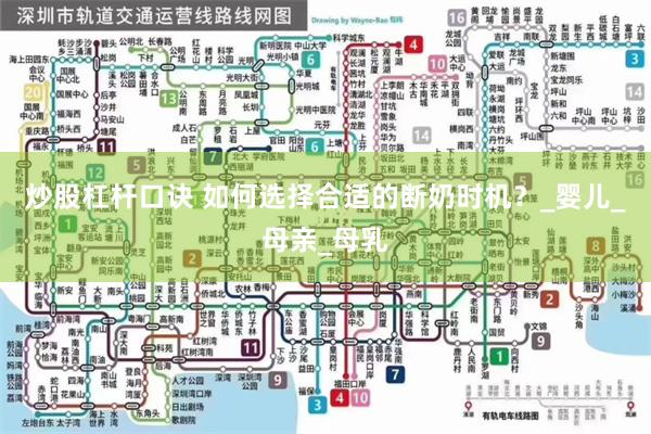炒股杠杆口诀 如何选择合适的断奶时机？_婴儿_母亲_母乳