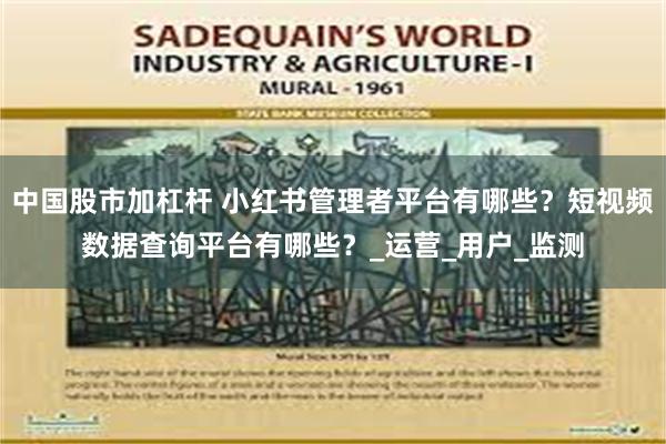 中国股市加杠杆 小红书管理者平台有哪些？短视频数据查询平台有哪些？_运营_用户_监测