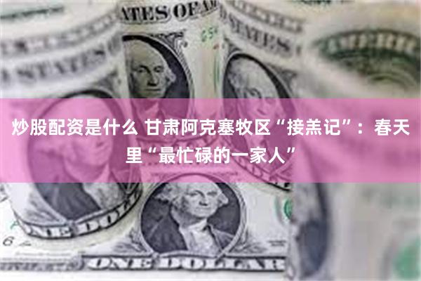 炒股配资是什么 甘肃阿克塞牧区“接羔记”：春天里“最忙碌的一家人”