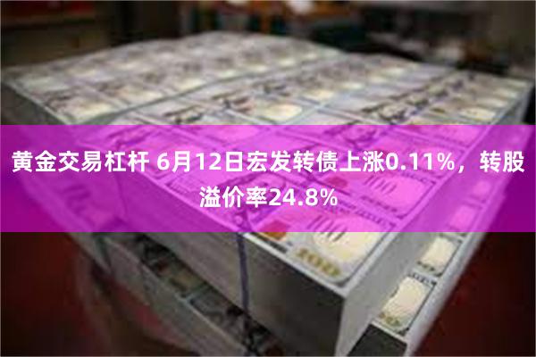 黄金交易杠杆 6月12日宏发转债上涨0.11%，转股溢价率24.8%