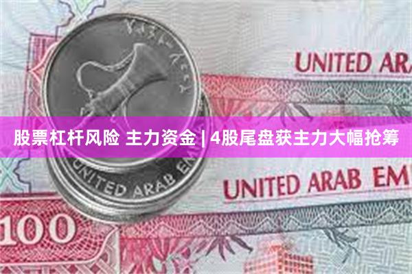 股票杠杆风险 主力资金 | 4股尾盘获主力大幅抢筹