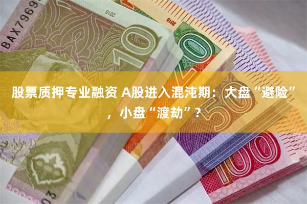 股票质押专业融资 A股进入混沌期：大盘“避险”，小盘“渡劫”？