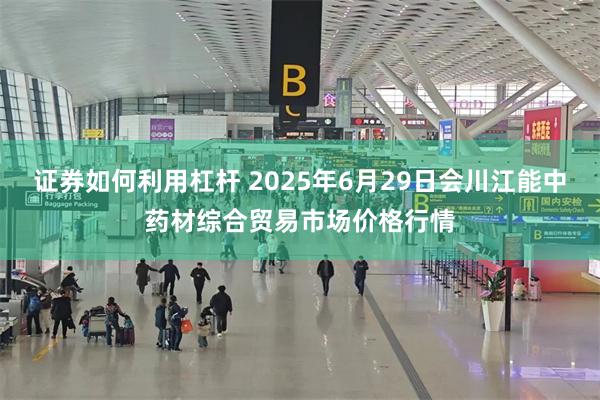 证券如何利用杠杆 2025年6月29日会川江能中药材综合贸易市场价格行情