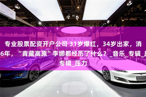 专业股票配资开户公司 31岁爆红，34岁出家，消失26年，“青藏高原”李娜都经历了什么？_音乐_专辑_压力