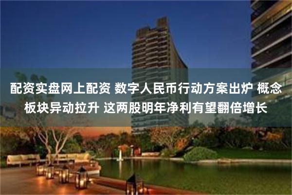 配资实盘网上配资 数字人民币行动方案出炉 概念板块异动拉升 这两股明年净利有望翻倍增长