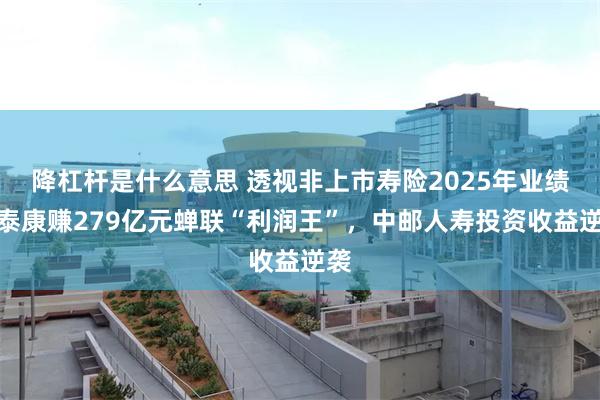 降杠杆是什么意思 透视非上市寿险2025年业绩：泰康赚279亿元蝉联“利润王”，中邮人寿投资收益逆袭