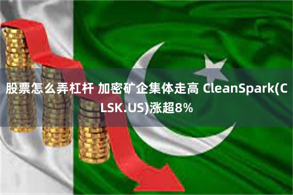 股票怎么弄杠杆 加密矿企集体走高 CleanSpark(CLSK.US)涨超8%